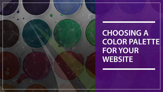 Choosing a Color Palette for Your Website